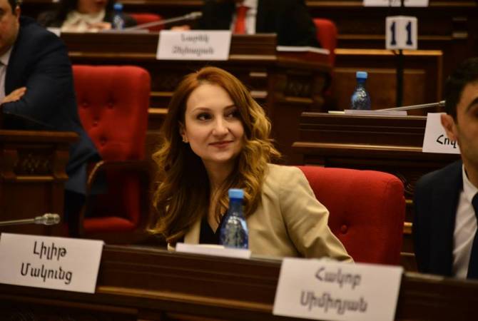 Լիլիթ Մակունցը հանդիպել է ՀՀ-ում Ռուսաստանի դեսպանին