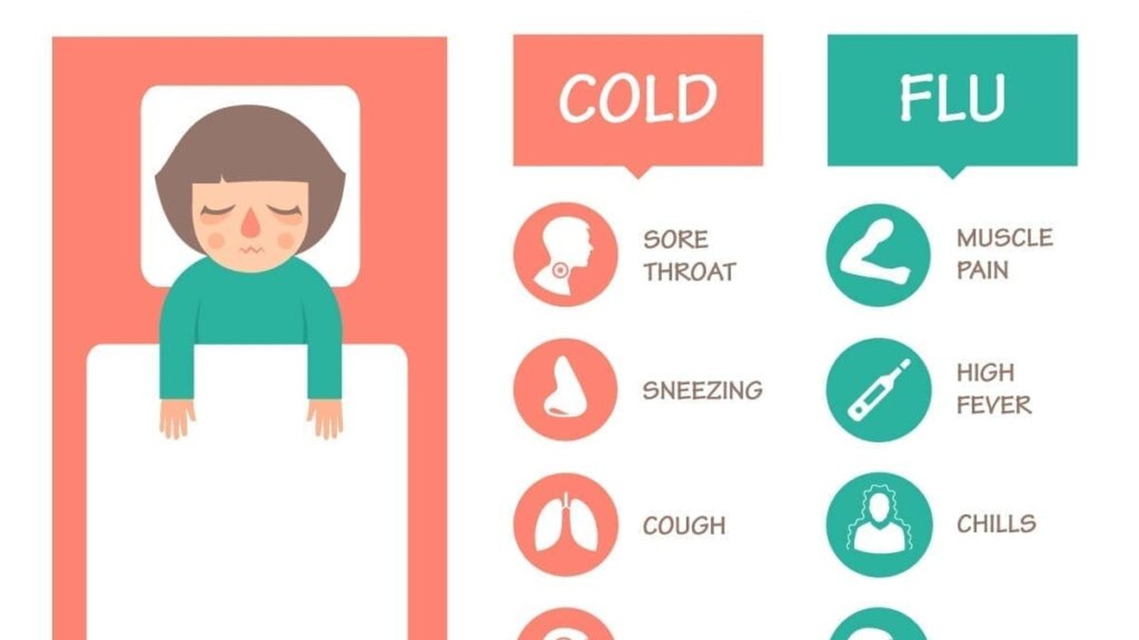 influenza virus diagram