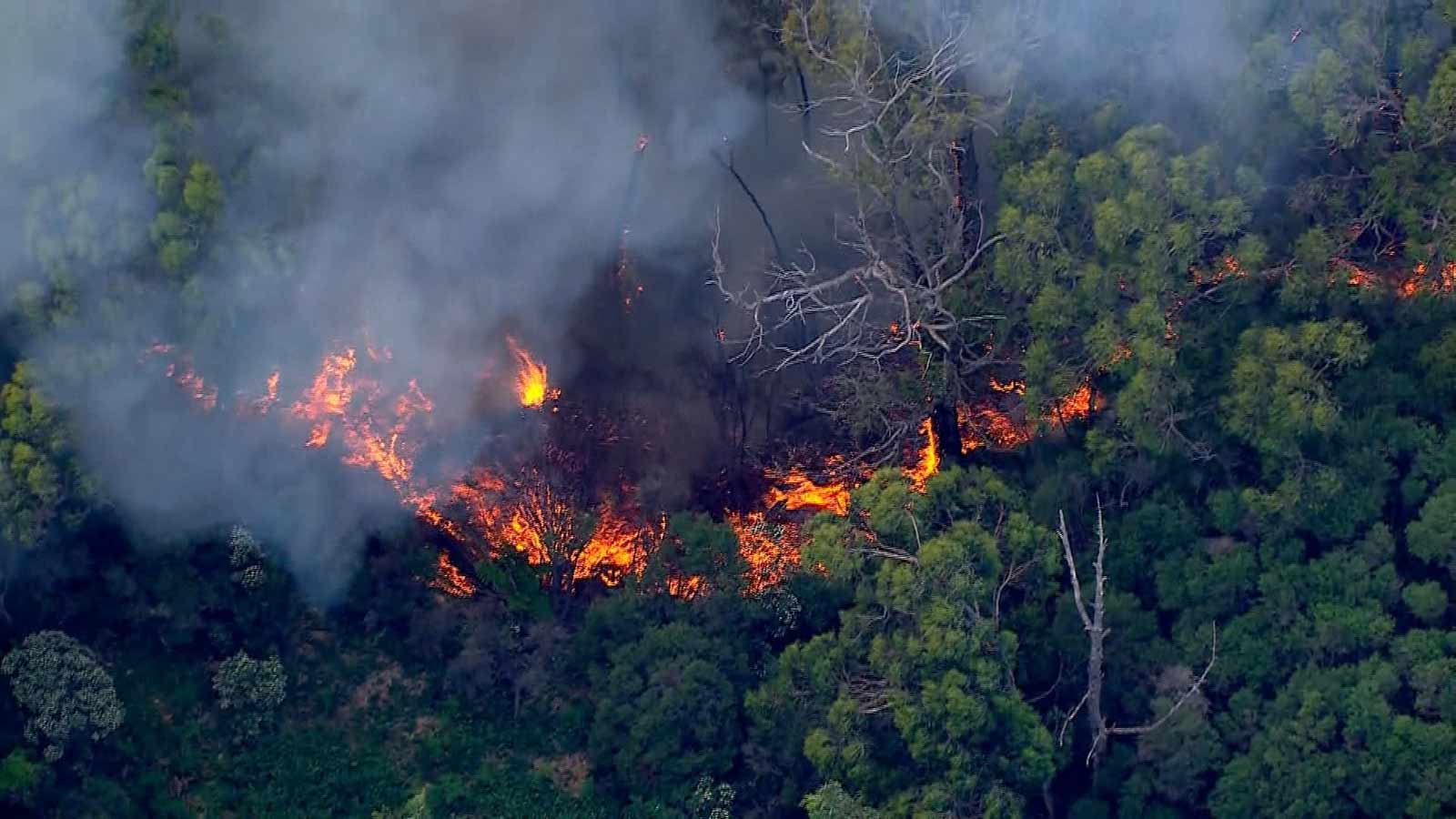 Perth Bushfire