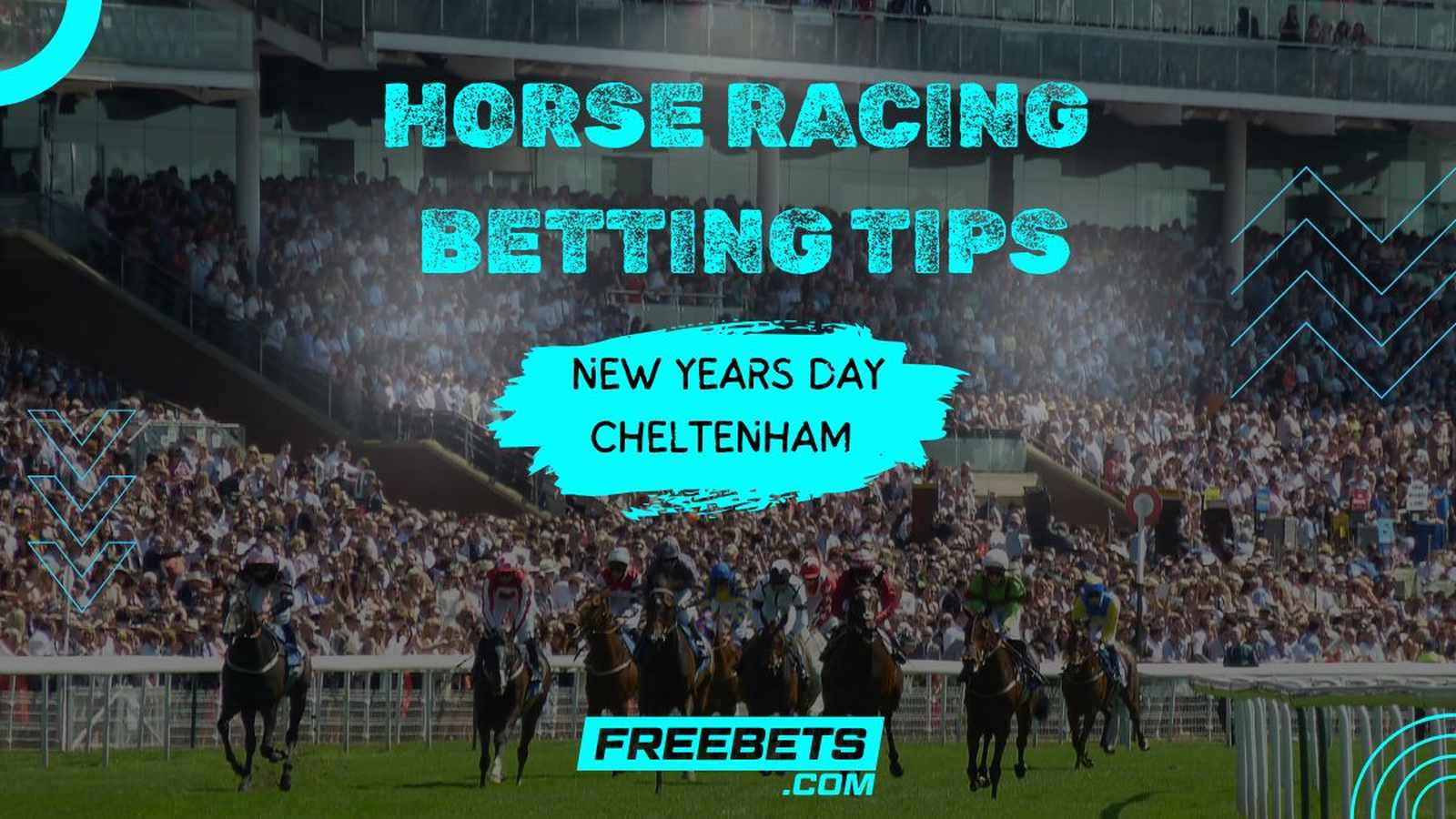 Cheltenham horses racing