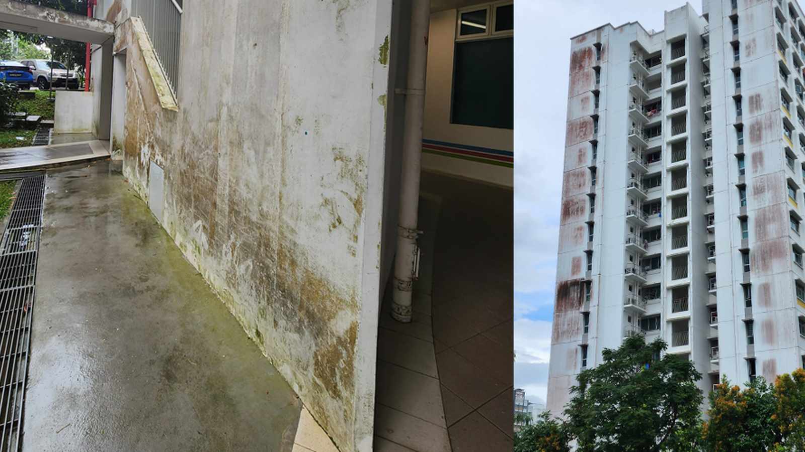 Mould growth on apartment wall