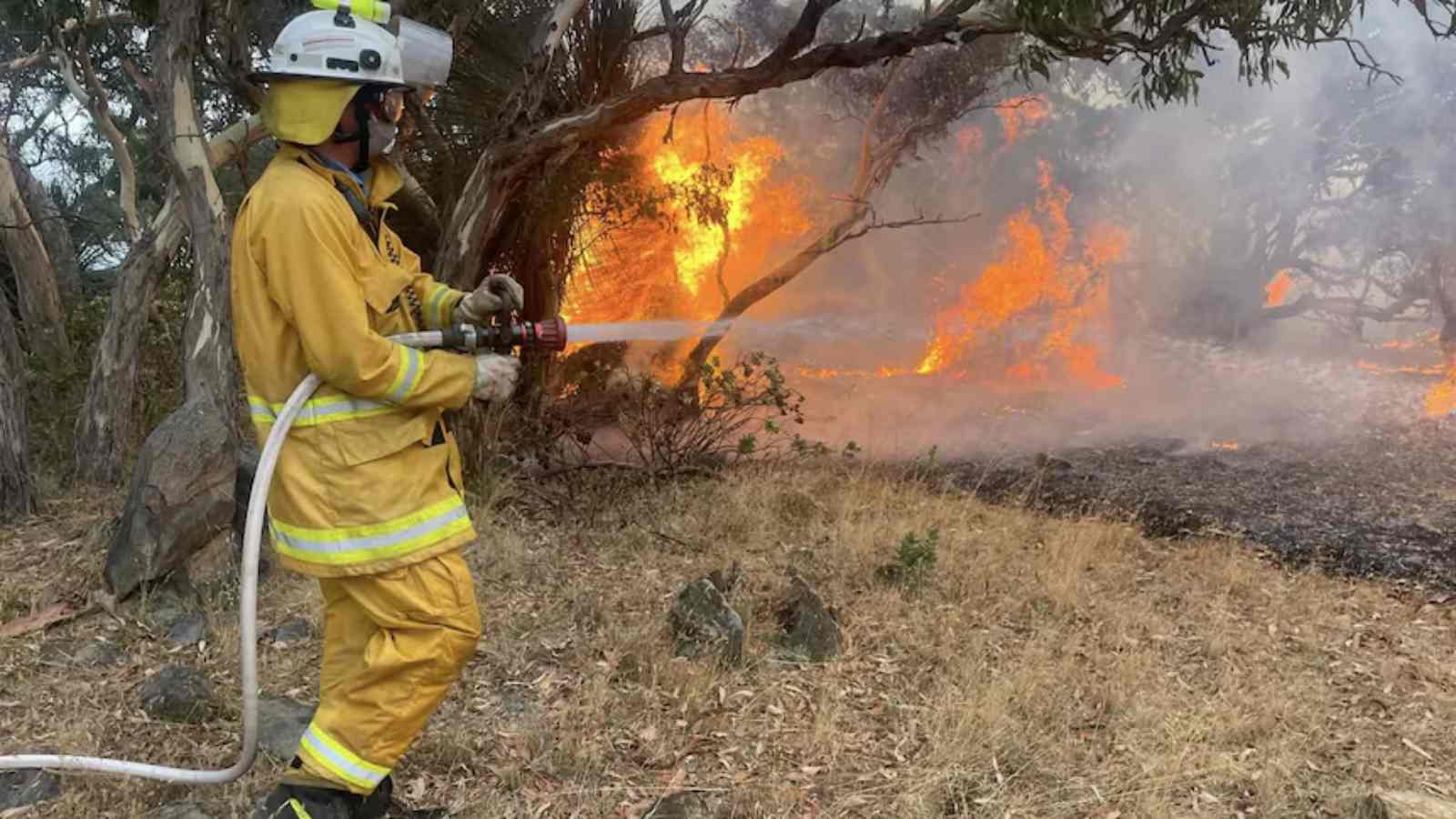 Bushfire South of Adelaide