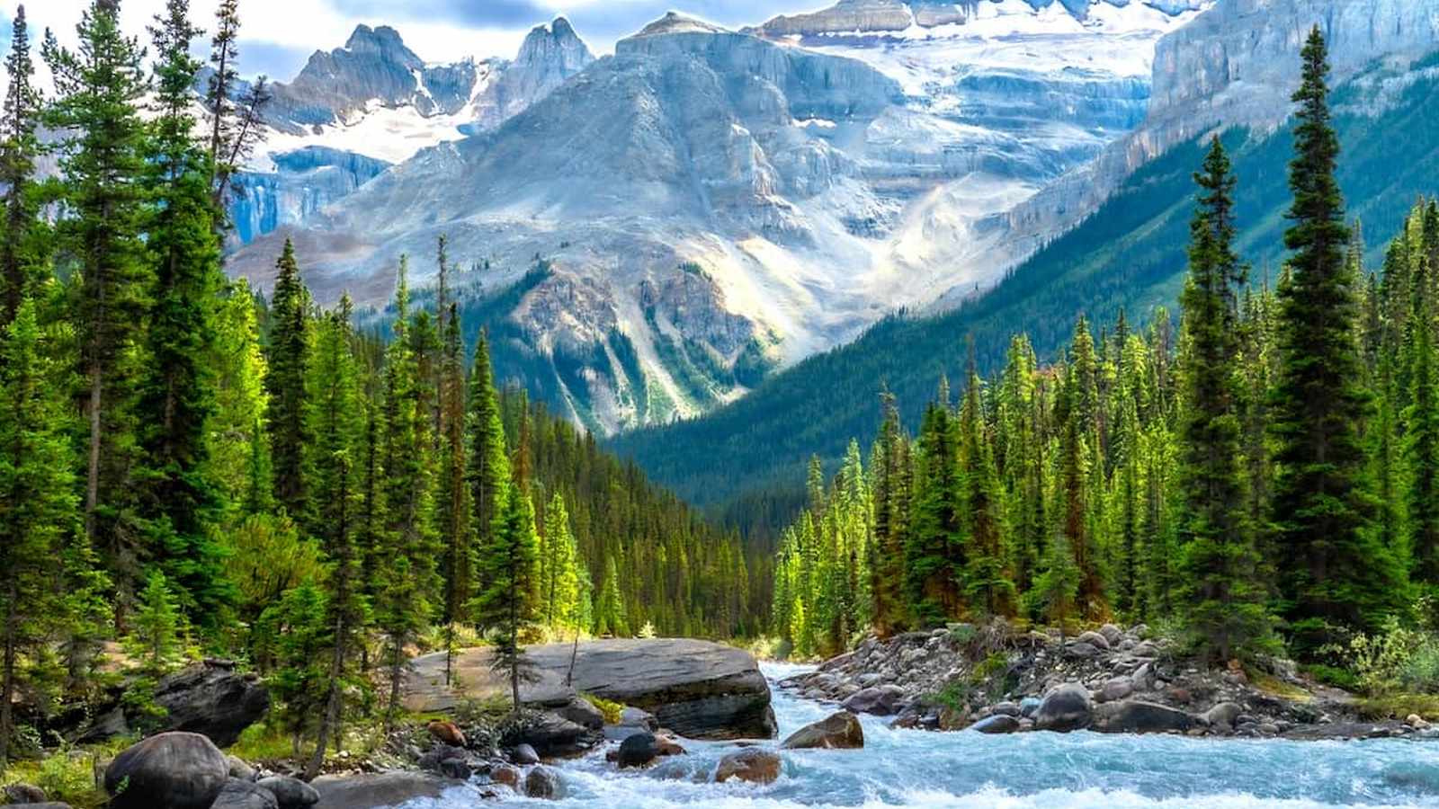 Canadian passport and immigration documents