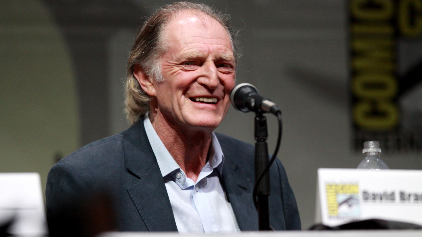 David Bradley actor portrait at a public event
