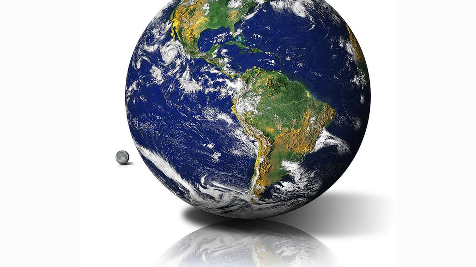 People participating in Earth Day activism