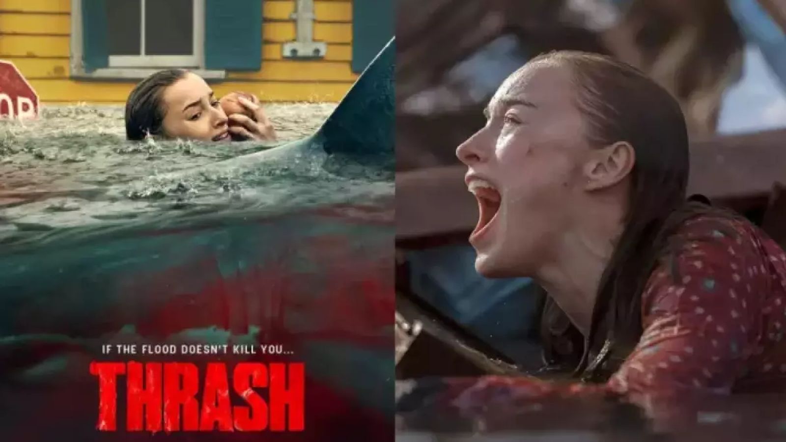 Phoebe Dynevor in Thrash movie