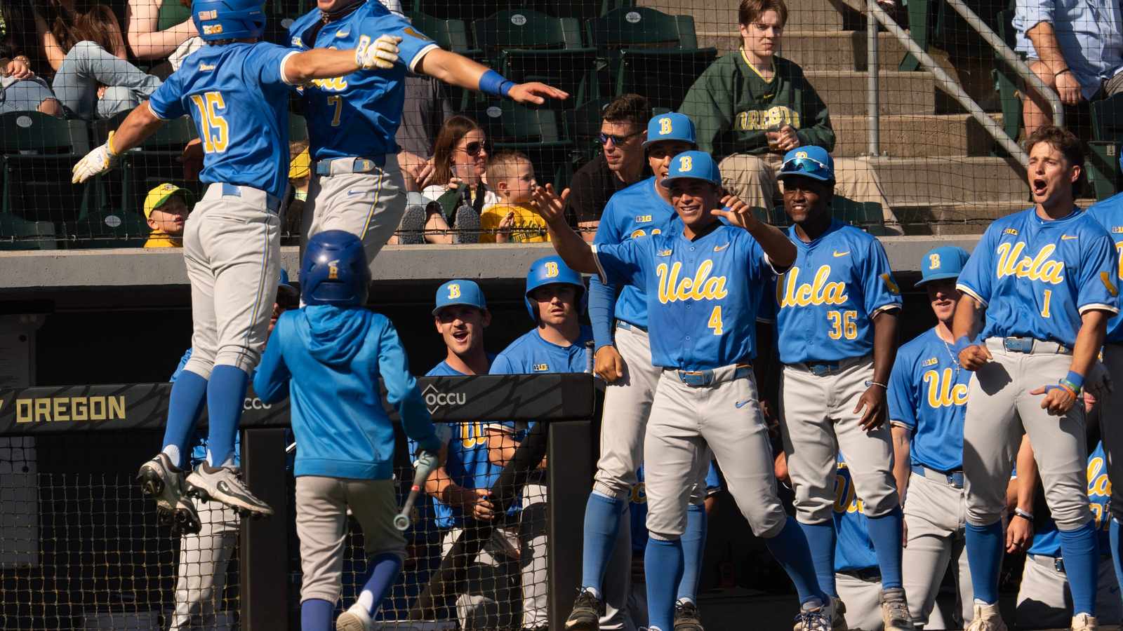 UCLA baseball players in blue uniforms cheering and celebrating in the dugout