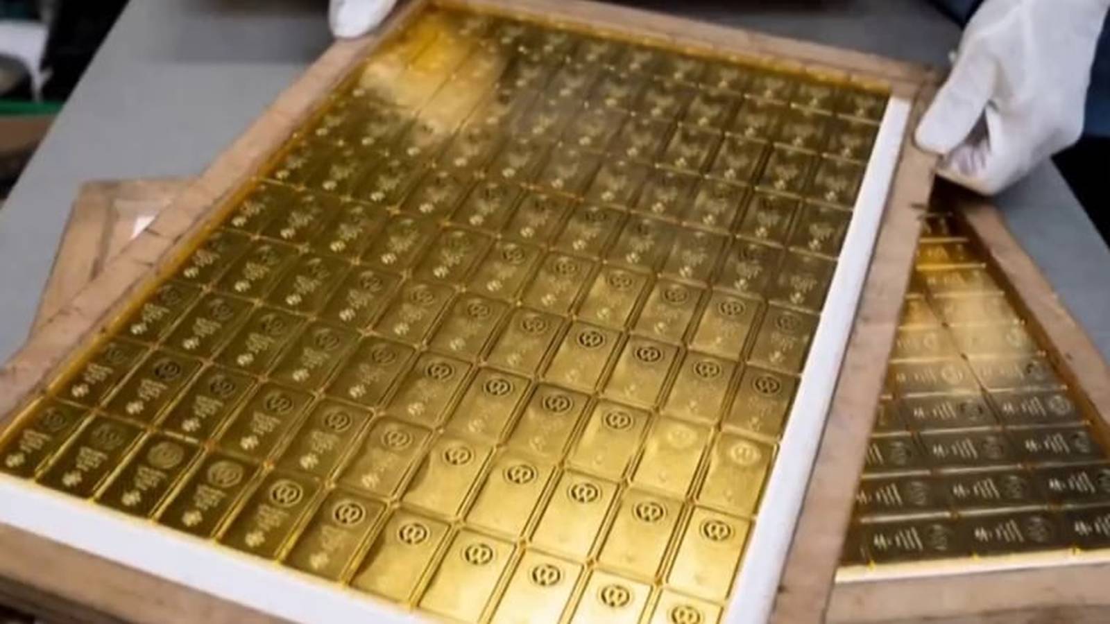 Gold bars and cash evidence