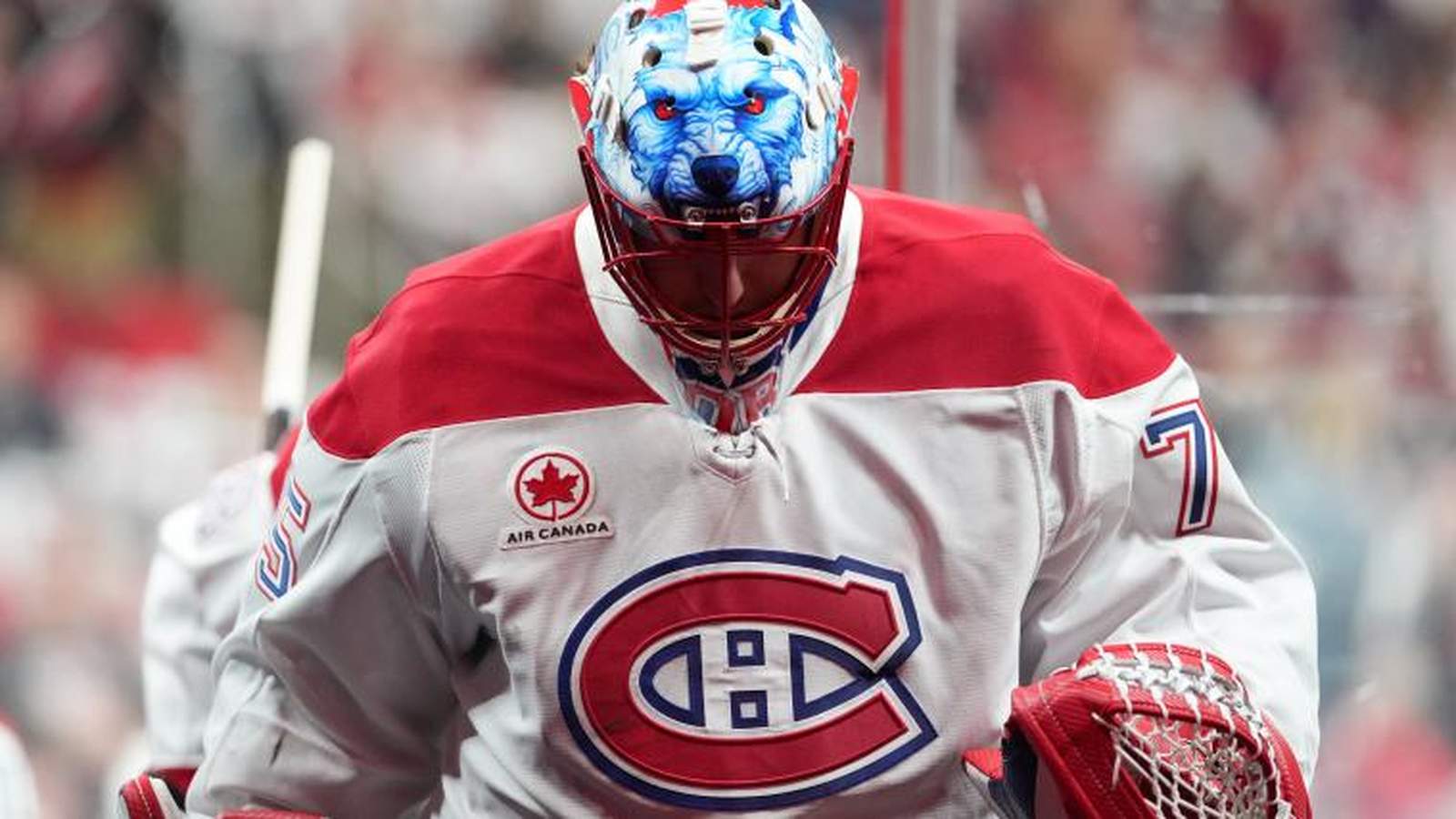Montreal Canadiens goaltender Jakub Dobeš wearing his team jersey and custom wolf mask