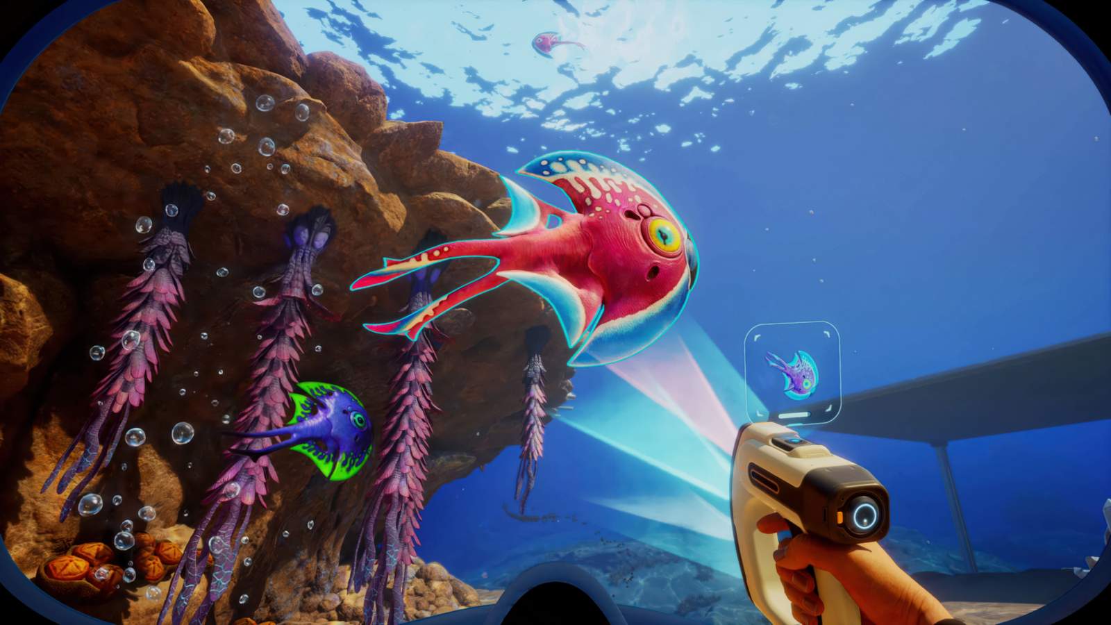 Player using a scanner tool to observe colorful alien fish in Subnautica 2