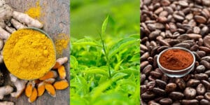 Cocoa and Green Tea: Potential Shields Against Fatty Food-Induced Stress Effects