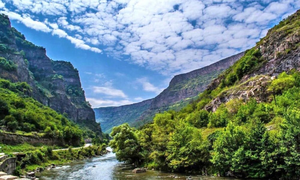 Can Nature Boost Your Well-being? Exploring the Connection Between Green Spaces and Health