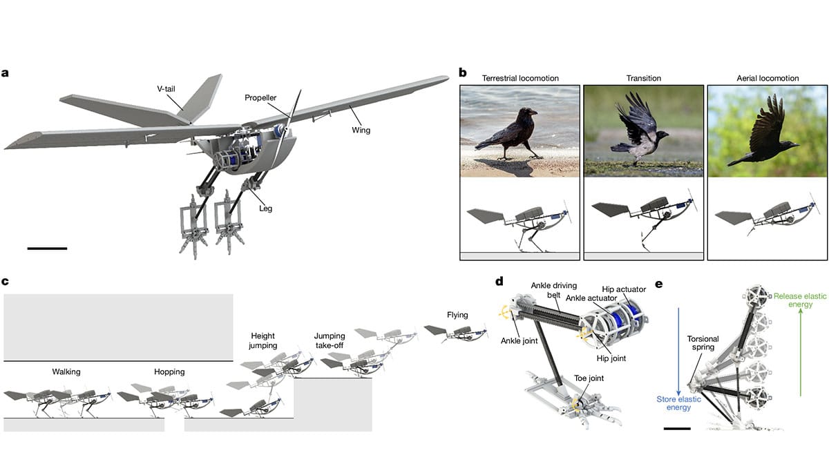 dron