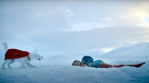 Superman 2025: A New Era with Krypto the Superdog  (VIDEO)