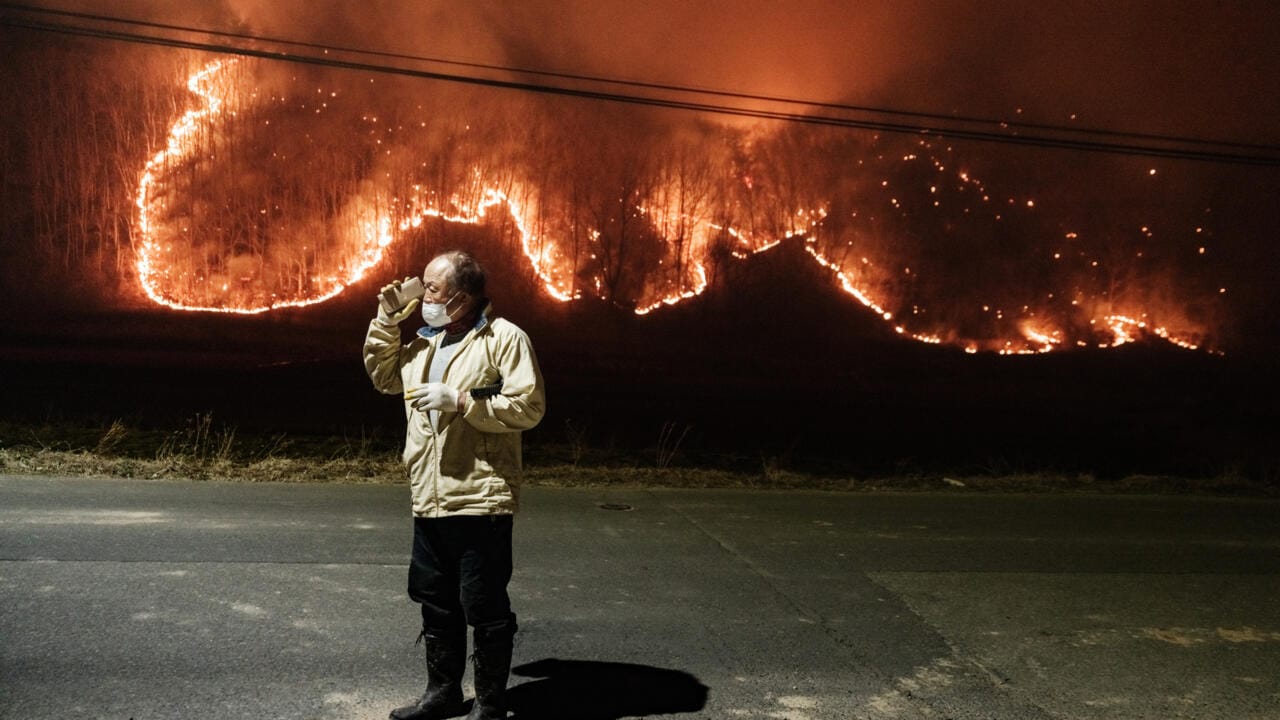 Deadly Wildfires Rage Across South Korea, Forcing Thousands to Flee