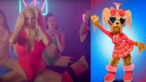Erika Jayne Unmasked as Yorkie on ‘The Masked Singer’