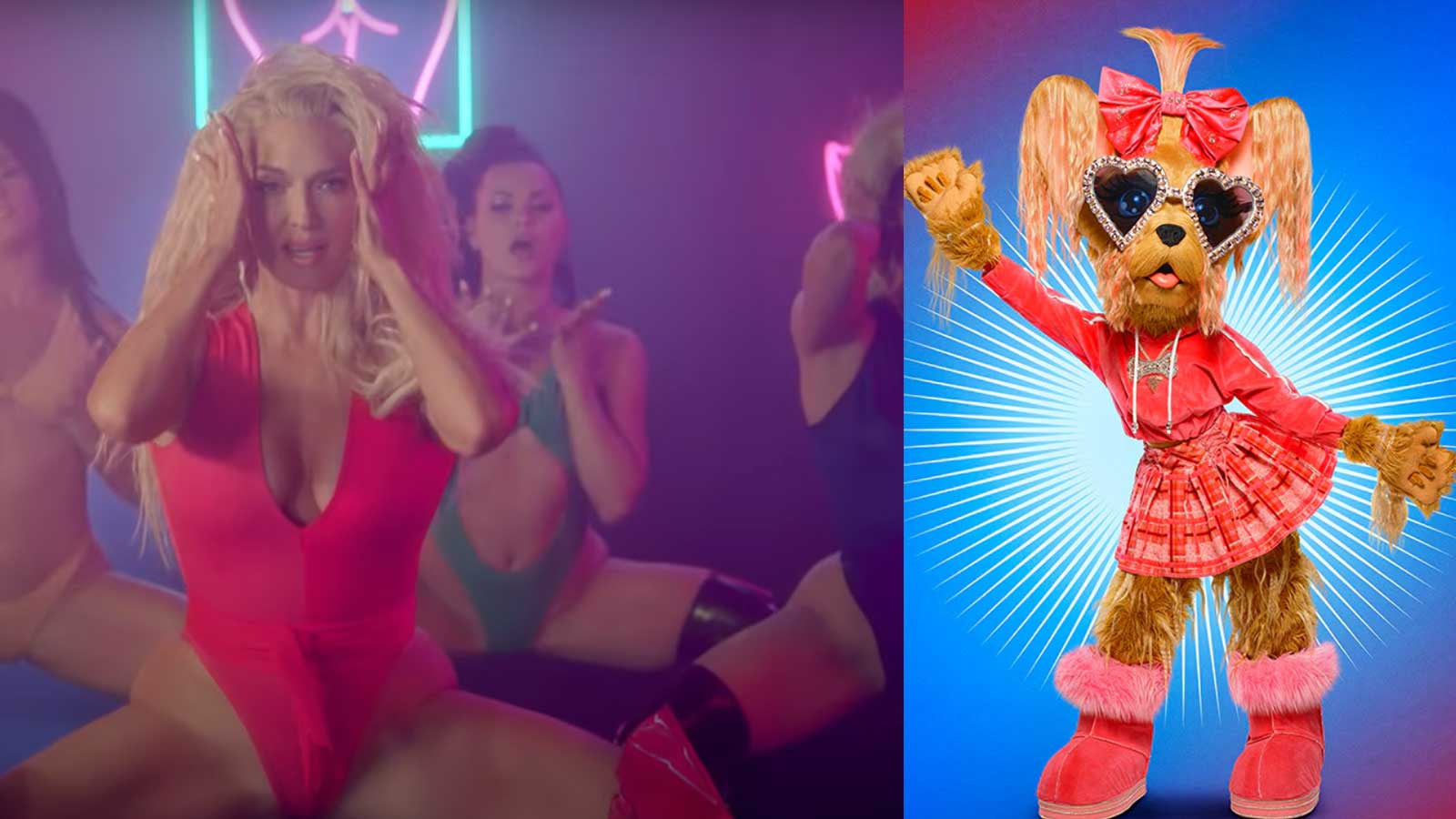 Erika Jayne Unmasked as Yorkie on ‘The Masked Singer’