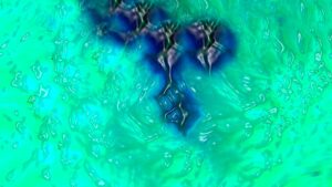 Scientists Discover ‘Olo,’ a New Color Perceived Through Laser Stimulation