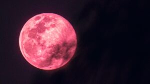 Pink Moon 2025: Date, Time, and Viewing Tips for April’s Micromoon
