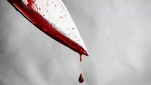 Knife Attack at Hamburg Train Station Injures 12