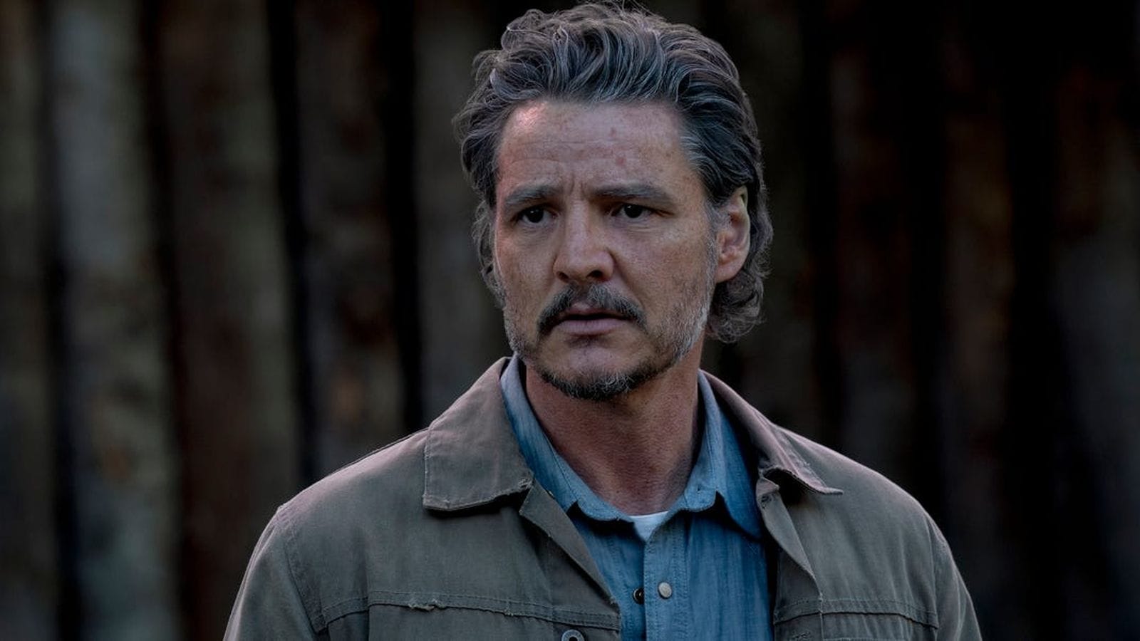 ‘The Last of Us’ Season 3: New Cast, Plot Details Revealed