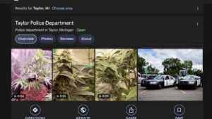 Taylor Police Department Faces Digital Prank: Marijuana Photos on Google Profile