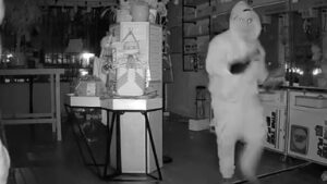 Masked Thieves Steal $7,000 Worth of Labubu Dolls in California Toy Store Heist