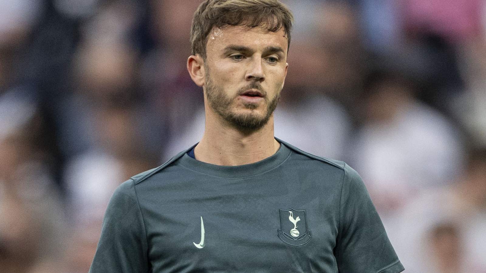 Tottenham faces a major challenge after James Maddison's ACL injury sidelines him for the season. The club is exploring replacements, including AS Monaco's Maghnes Akliouche, while preparing for critical upcoming matches.