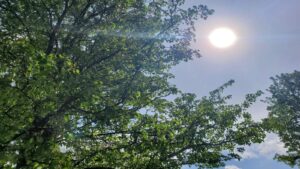 Air Quality Concerns Persist Amid Wildfire Smoke and Rising Temperatures