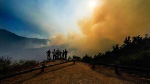 Firefighters Struggle Against Devastating Wildfires in Spain and Portugal