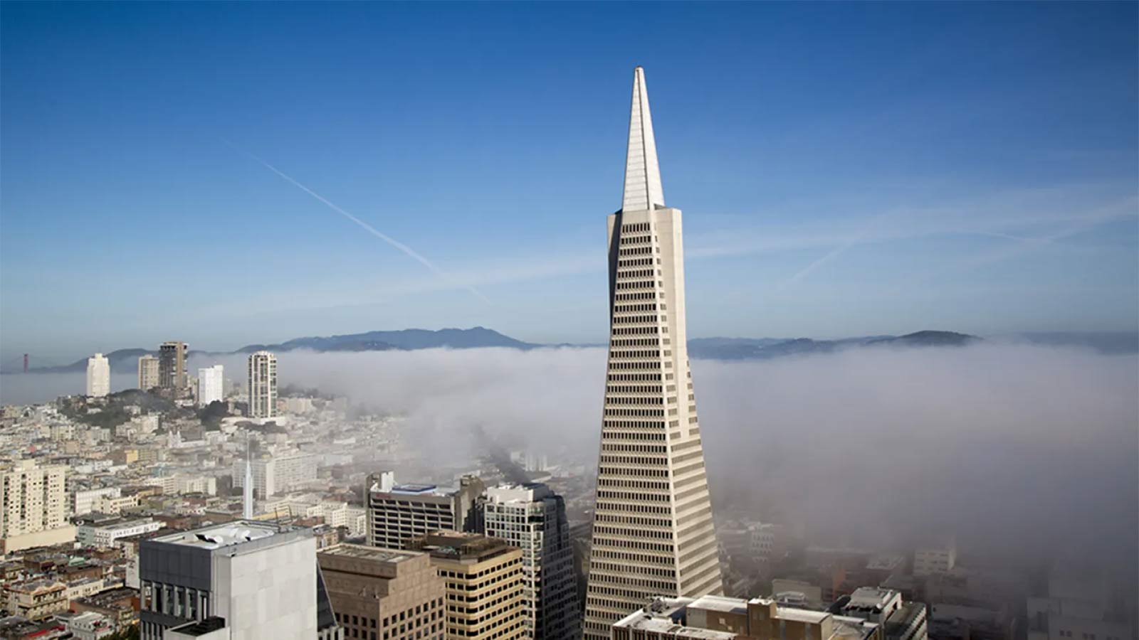 Exploring Transamerica: A Multifaceted Icon Across Industries