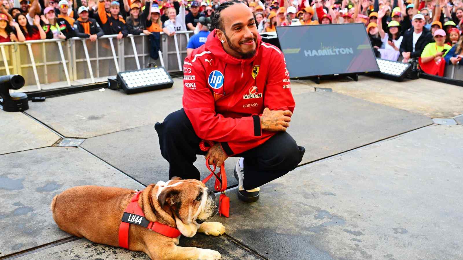 Roscoe, Lewis Hamilton’s Loyal Bulldog and F1 Icon, Dies at 12