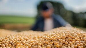 China’s Soybean Shift Reshapes Global Trade as U.S. Faces Tariff Fallout