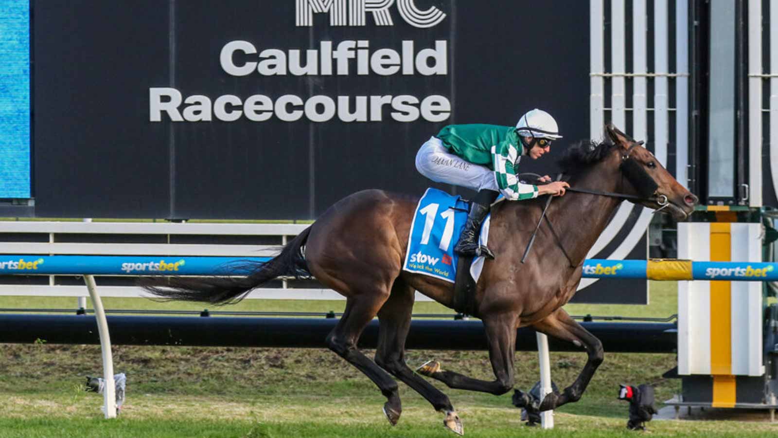 Caulfield Cup 2025: Full Field, Prize Money, Odds and How to Watch Live