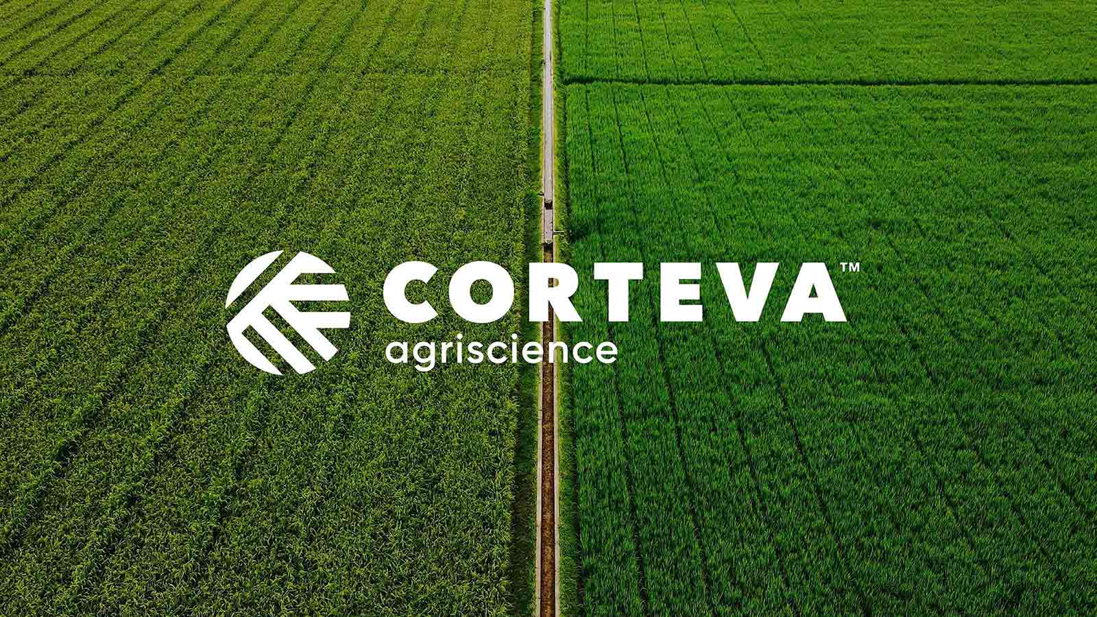 Corteva’s Bold Split Signals a New Era in Global Agriculture