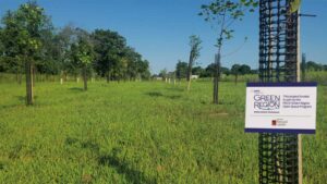 PECO’s Green Grants and Hero Funds: Local Parks, First Responders, and Energy Stocks Surge