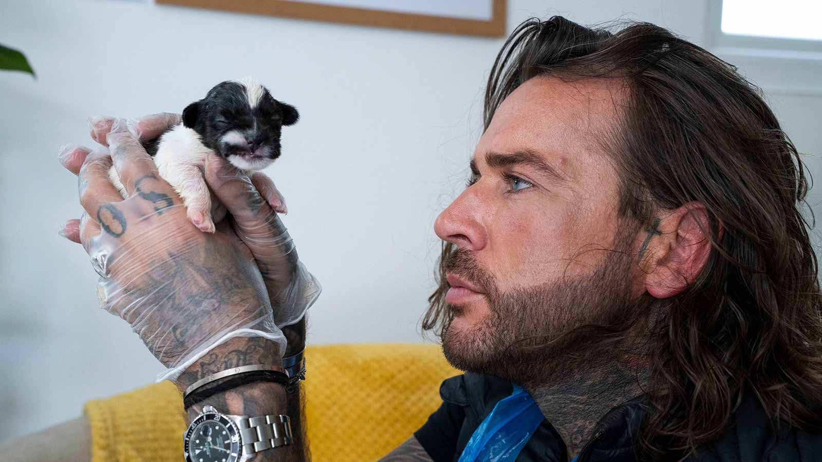 Pete Wicks: Unleashing New Paths with His Dogs and TV Journey