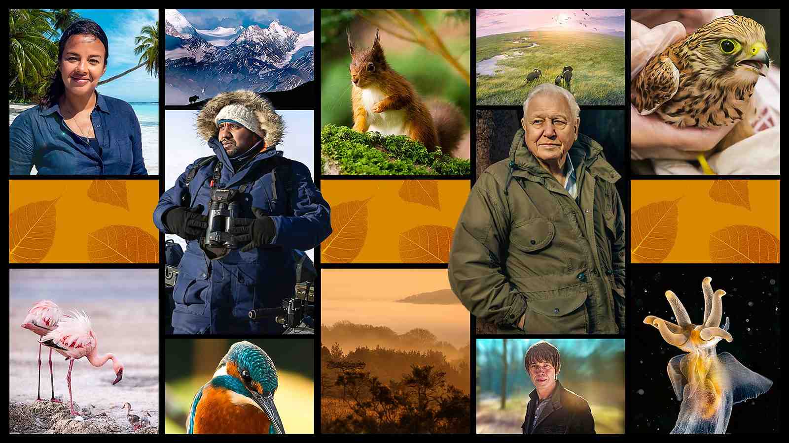 Hamza Yassin's latest wildlife series unveils the hidden treasures of the British Isles, blending cutting-edge technology with heartfelt conservation stories.