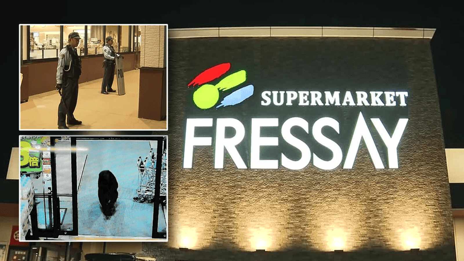 A wild bear rampaged through a supermarket north of Tokyo, injuring two people and sparking urgent calls for wildlife safety measures in urban Japan.