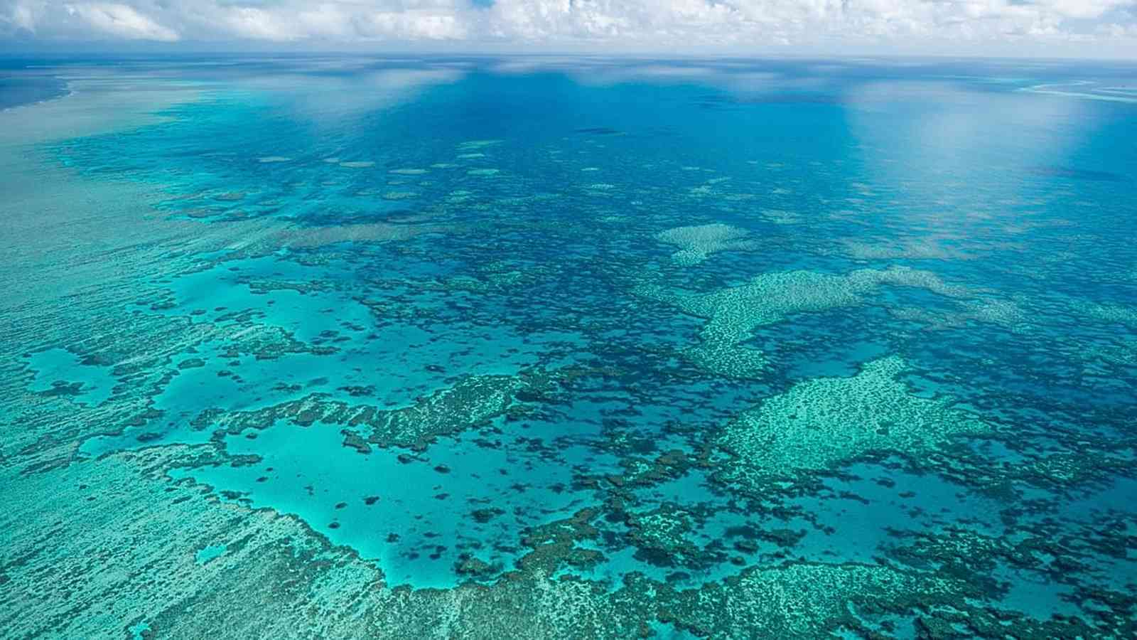 An elderly woman on a luxury cruise tragically died after being left behind on Lizard Island in Australia's Great Barrier Reef. The incident has sparked investigations into the cruise ship's safety protocols and passenger accountability.