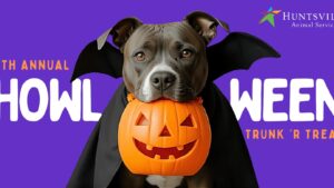 Halloween 3: Triple the Festivities, Community Spirit, and Pet Adoption Opportunities