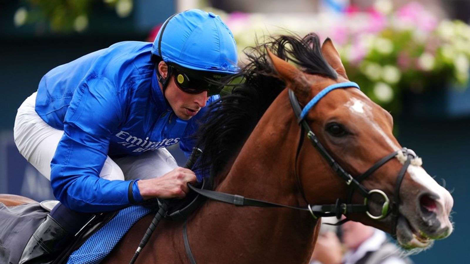 British Champions Day at Ascot delivers a thrilling card headlined by the Champion Stakes, where Ombudsman, Calandagan, and Delacroix clash in a high-stakes battle. Explore the day’s highlights, leading contenders, and the global significance of this iconic event.