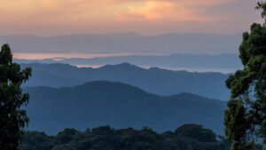 Martin Kemp Favored to Win ‘I’m A Celebrity’ 2025: Inside the Contestants, Odds, and Show Dynamics