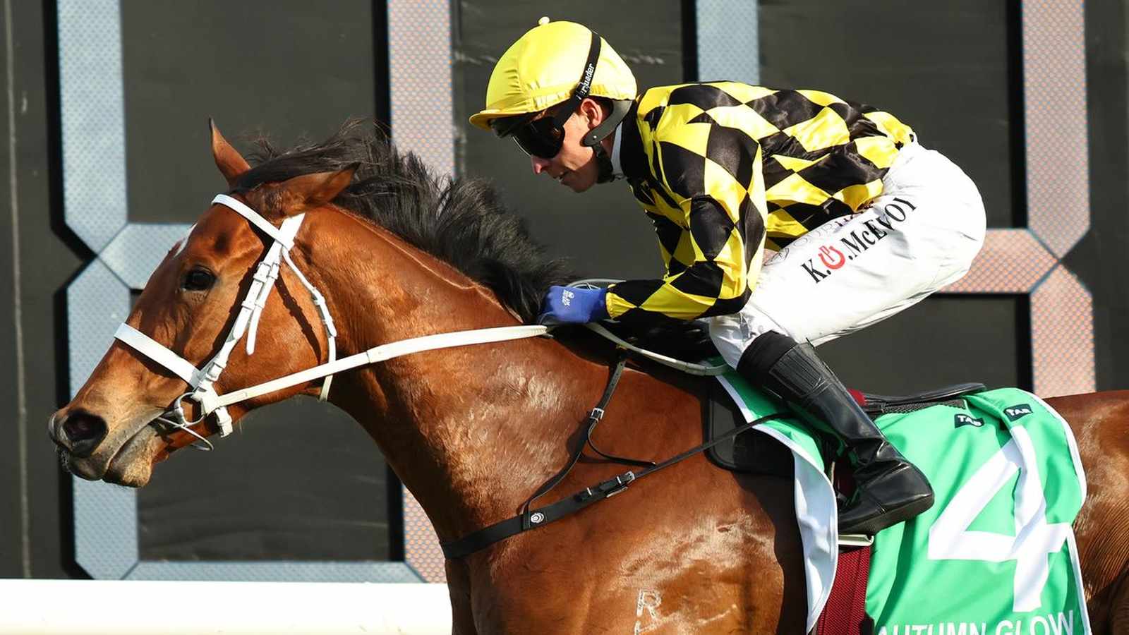 The Golden Eagle, Australia's second-richest horse race, is back with a $10 million prize pool and an exciting field of contenders. Learn about the top horses, their form, and predictions for this highly anticipated event at Randwick Racecourse.