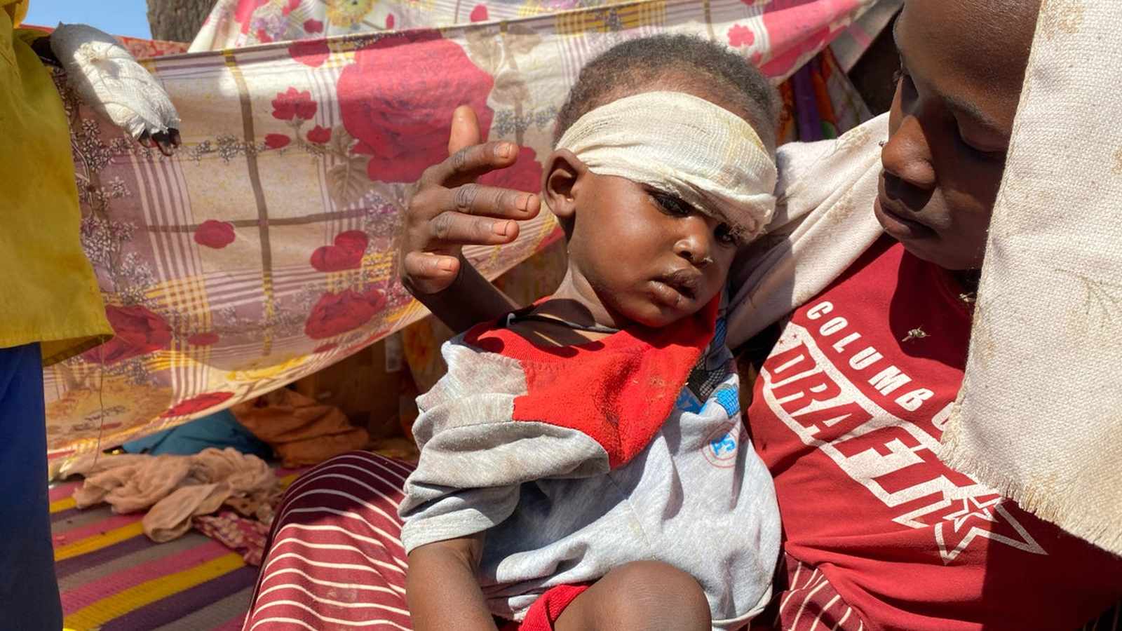 Satellite Images Reveal Sudan’s El-Fashir Crisis as ICC Probes War Crimes