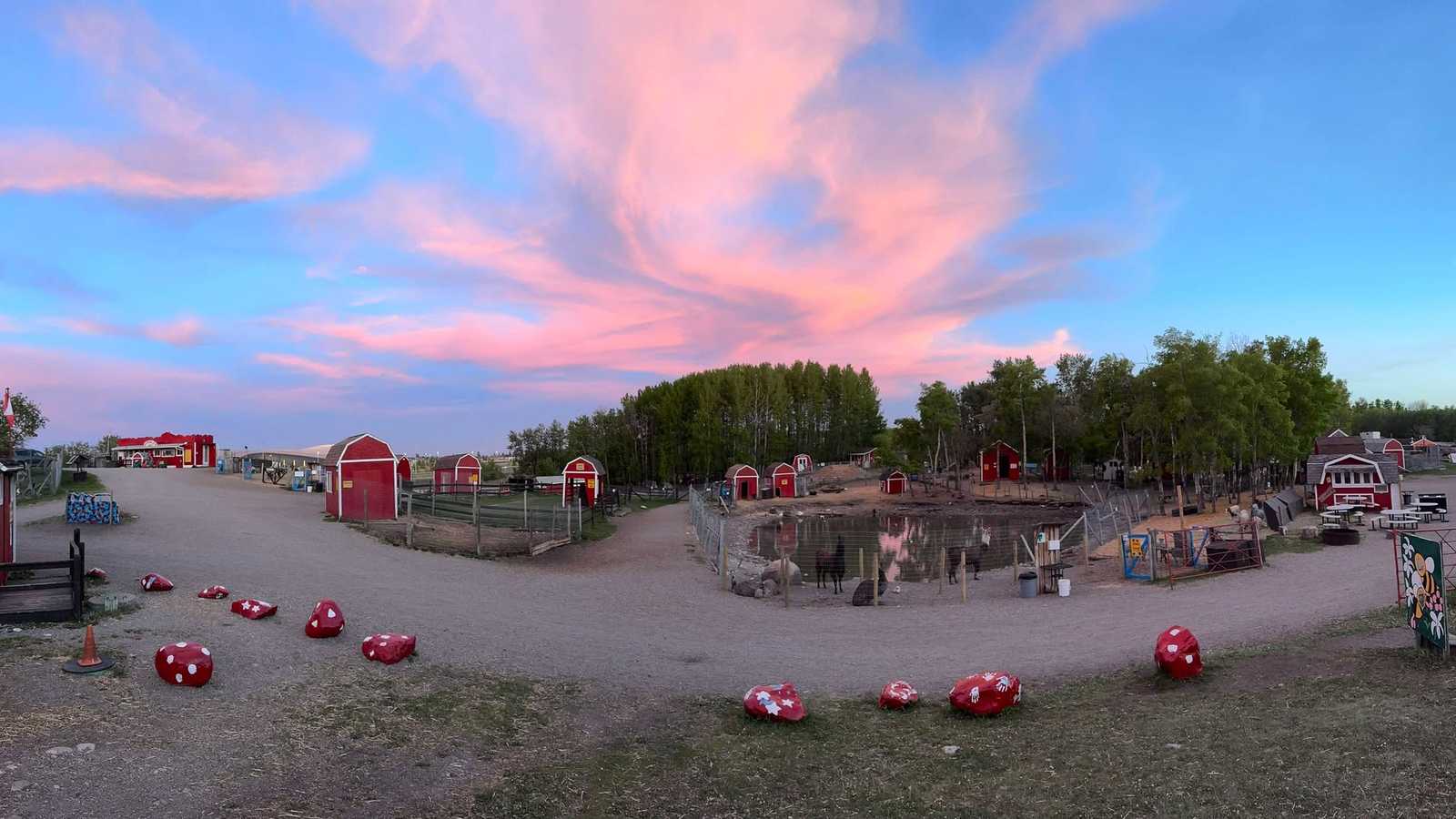 Calgary Weather Update: Snow, Sports, and Community Resilience Amid November Chill