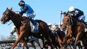 Melbourne Cup 2025 Results: Full Field, Winners, and Expert Insights