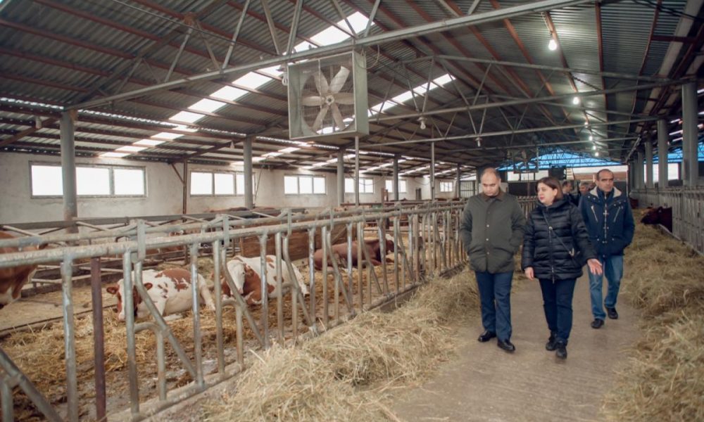 Գյուղնախարարն աշխատանքային այցով Տավուշի մարզում էր