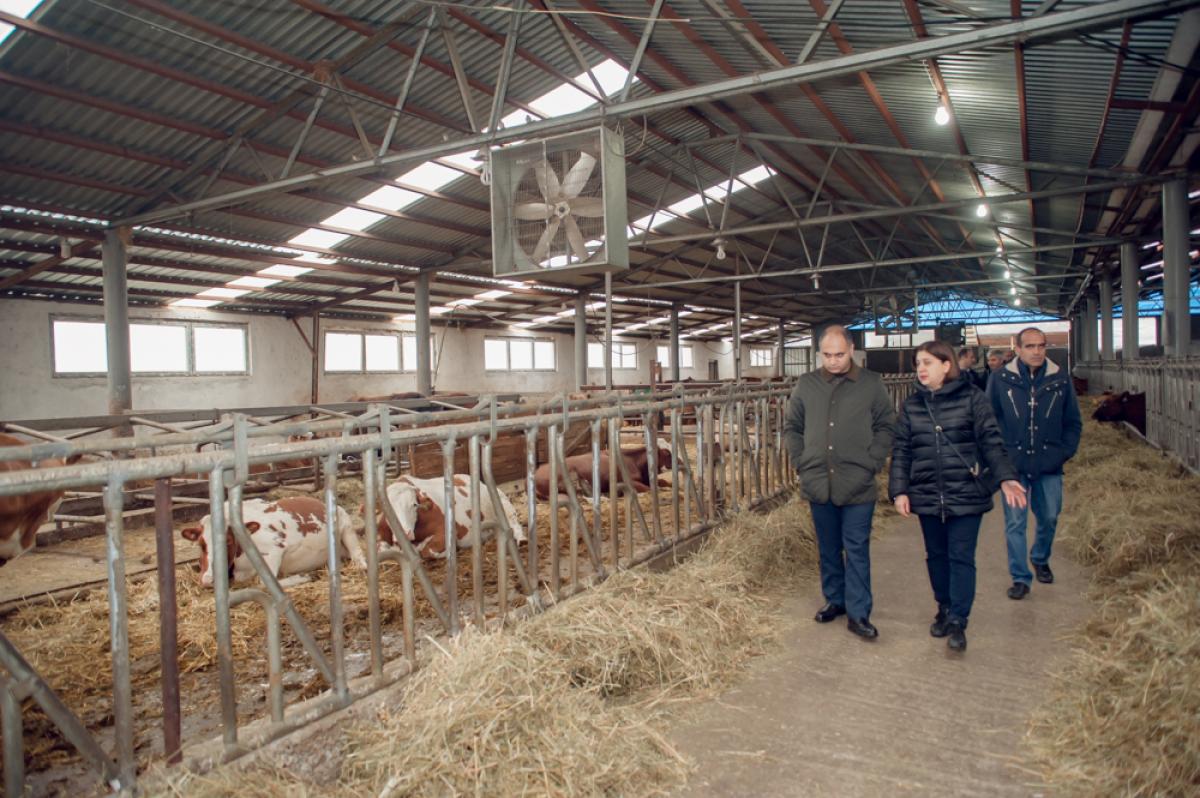 Գյուղնախարարն աշխատանքային այցով Տավուշի մարզում էր