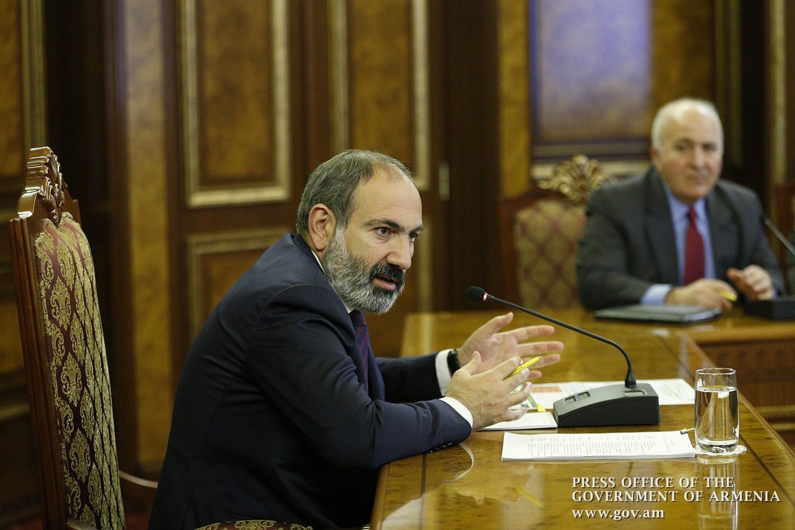 Քննարկման արդյունքում որոշվել է ընթացք տալ «Հայկական գենոմ» անվանմամբ նախագծին